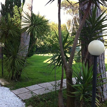 Hotel La Palma Λίντο ντι Καμαϊόρε Εξωτερικό φωτογραφία