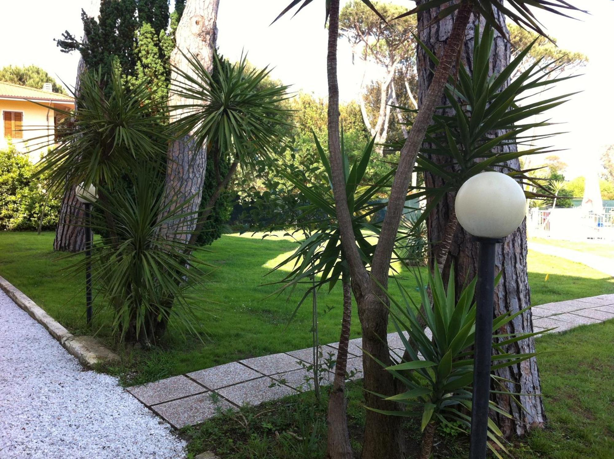 Hotel La Palma Λίντο ντι Καμαϊόρε Εξωτερικό φωτογραφία